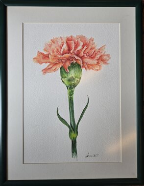 Rozmer obrázku spolu s rámom 50x66 cm