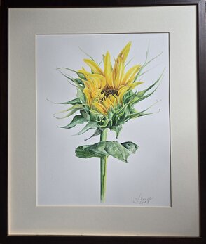 Rozmer obrázku spolu s rámom 53x63 cm