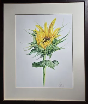 Rozmer obrázku spolu s rámom 53x63 cm