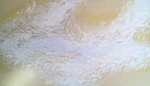 rozmer obrazu 140x80 cm