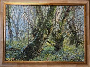 Rozmer obrazu spolu s rámom 82x62 cm