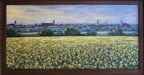 Trnava panoráma,, Roymer obrazu spolu s rámom 120x63 cm